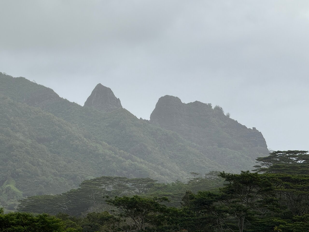 Kalalea ridge in cloud, looking mākai from Anahola.